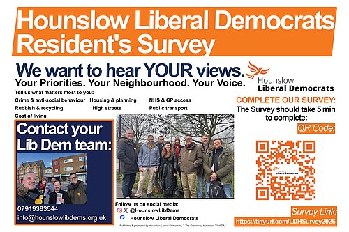LibDem Survey Promo