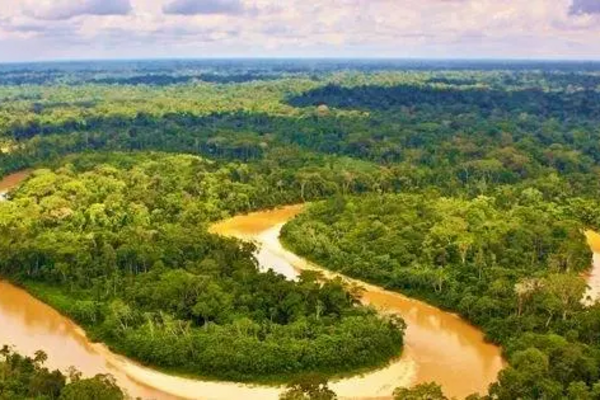 Image courtesy of www.rainforesttrust.org Rainforests 1