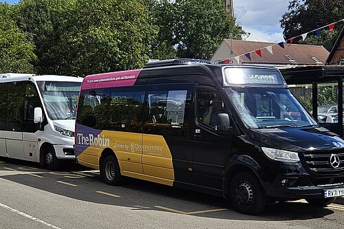 Robin bus with 232