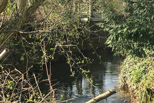 River Greet