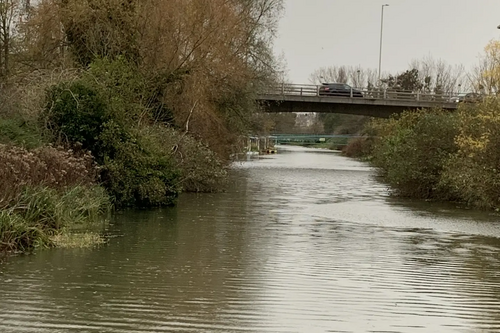 river chelmer downstream