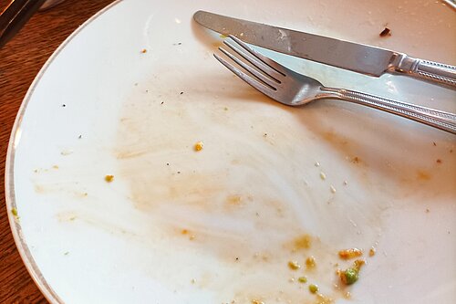 Empty plate