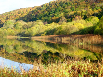 Image courtesy of Stuart Littlewood Galloway Loch & Woodland