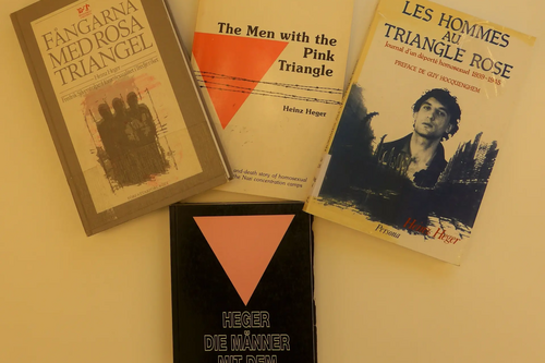 LGBTQ History Month - The Higgins