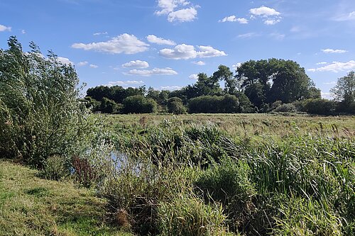 Yare Valley