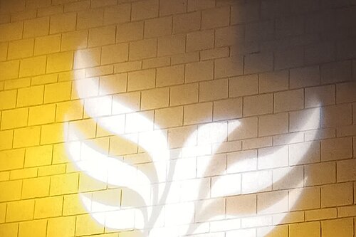 Lib Dem logo bird projected on blockwork
