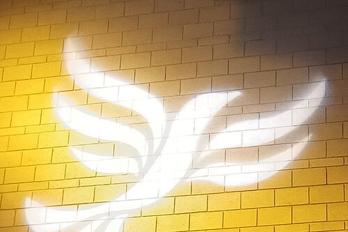 Lib Dem logo bird projected on blockwork