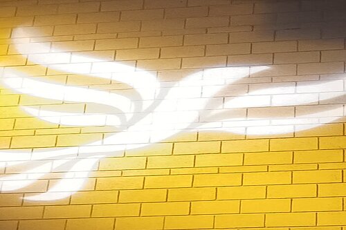 Lib Dem logo bird projected on blockwork