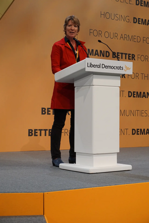 Image courtesy of KNDaws Pippa Heylings speaking in the debate on Plastic Pollution and UN Sustainable Development Goals