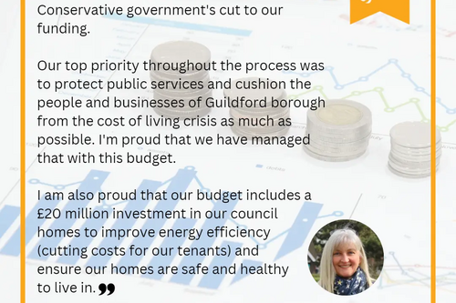 Julia on GBC budget