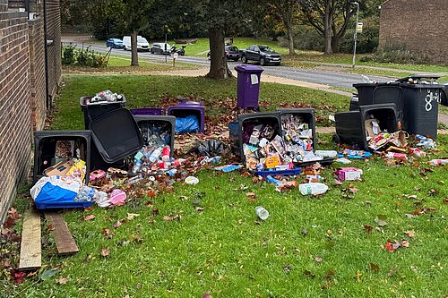 Overflowing bins in North Hertfordshire