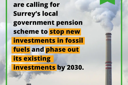Guildford Lib Dems call for pension divestment