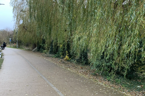 path alongside riverside
