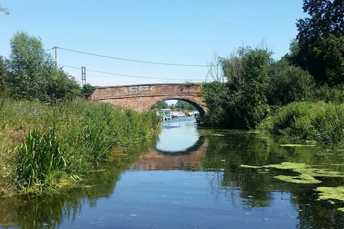 River Chelmer near Sandford Mill