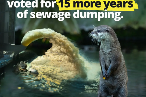 15 more years of sewage