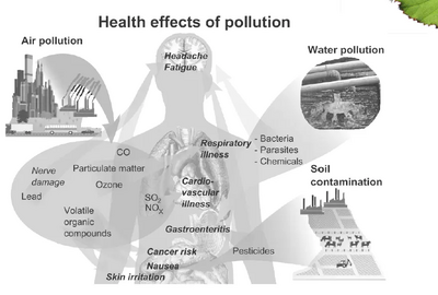 Image courtesy of GreenLibDems.org.uk Health Effects of Pollution