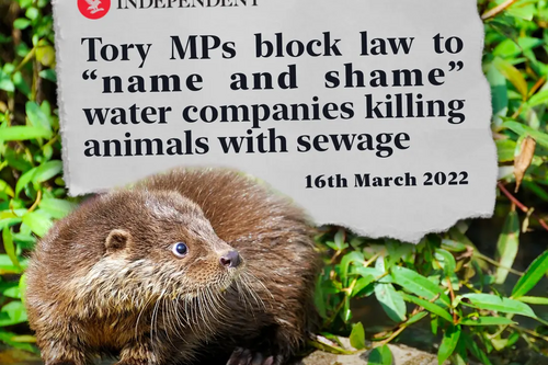 Protect wildlife name and shame
