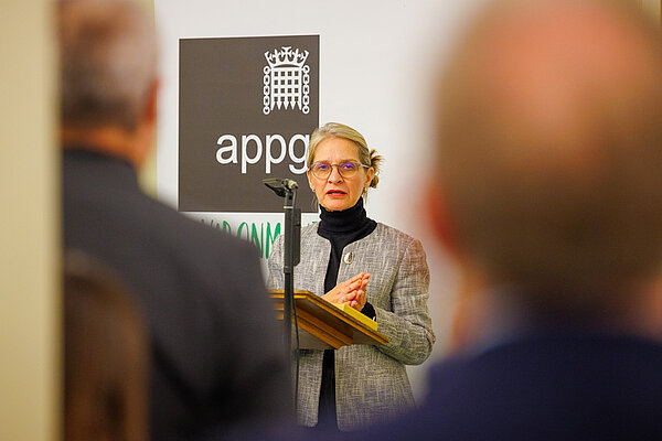Wera Hobhouse MP speaking at the Environment APPG awards evening and receiving her award for Environmental Champion of the Year from Chris Skidmore MP. 