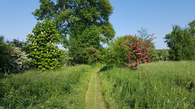 Image courtesy of Keith Melton Field pathway