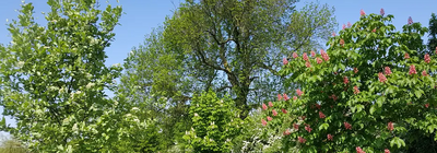 Image courtesy of Keith Melton Nature scene