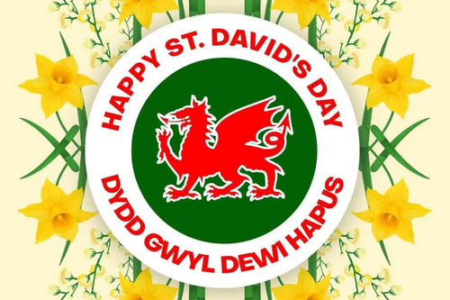 ST Davids