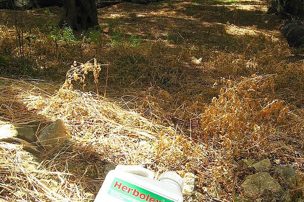 Empty Glyphosate (Herbolex) container discarded in Corfu olive grove from wikimedia