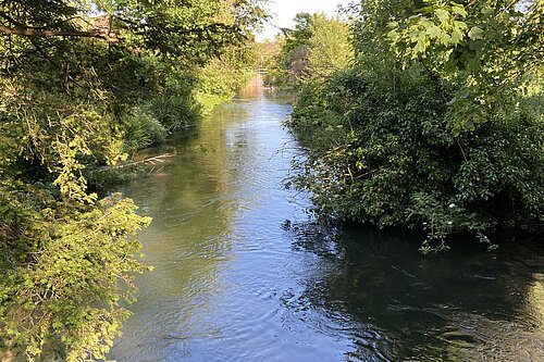 River Lambourn