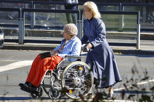 Wheelchair+carer