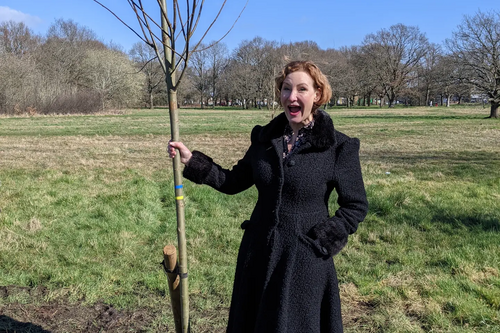 Claire Trees