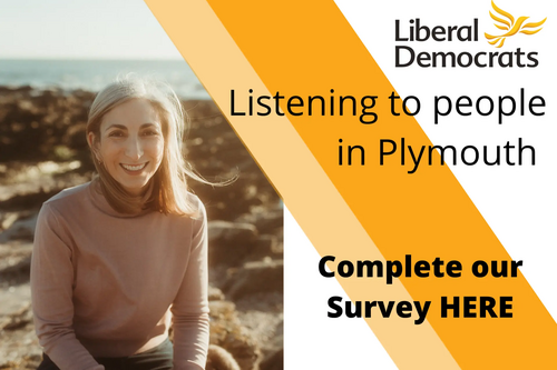 Sima Davarian 2022 Survey