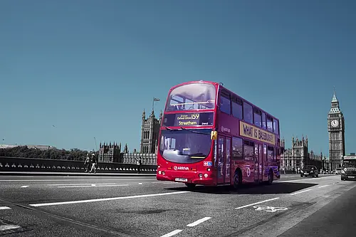 bus