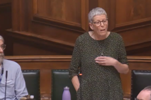 Cllr Jeanette Sunderland speaking in the Council Chamber