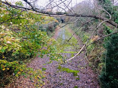 Image courtesy of Andrew Varney Bristol's Brislington Railway / Greenway